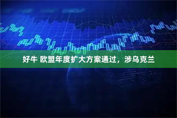 好牛 欧盟年度扩大方案通过,涉乌克兰